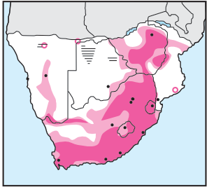 African Black Duck Distribution