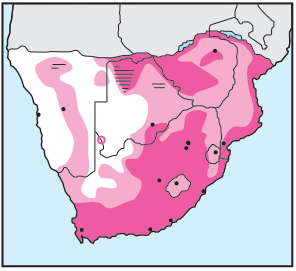 African Sacred Ibis Distribution