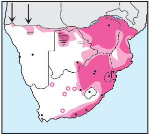 Black-collared Barbet Distribution