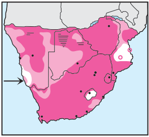 Blacksmith Lapwing Distribution