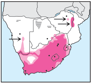 Cape Robin-Chat Distribution