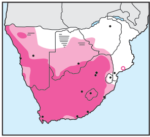 Cape Sparrow Distribution