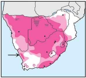 Cape Starling Distribution