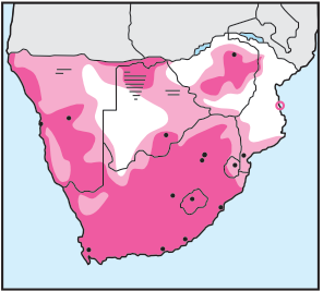 Cape Wagtail Distribution