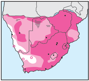 Diederik Cuckoo Distribution