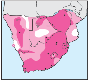 Egyptian Goose Distribution