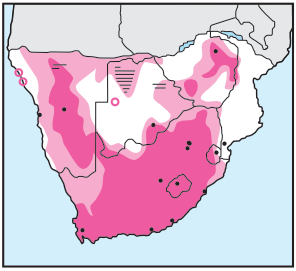 Greater Striped Swallow Distribution