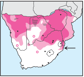 Grey Go-away-bird Distribution