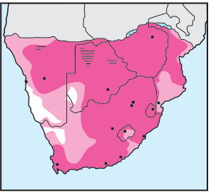 Helmeted Guineafowl Distribution