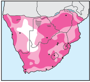 Pied Crow Distribution