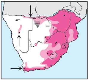 Red-chested Cuckoo Distribution