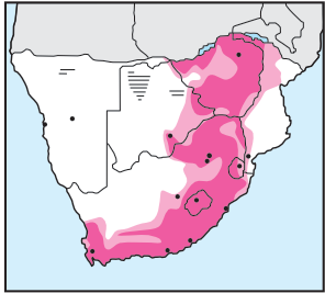 Red-winged Starling Distribution