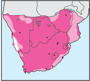 Southern Masked Weaver Distribution