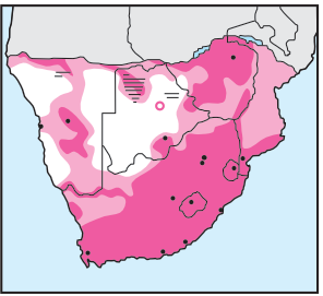 Southern Red Bishop Distribution