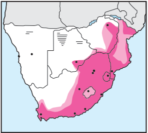 Speckled Mousebird Distribution