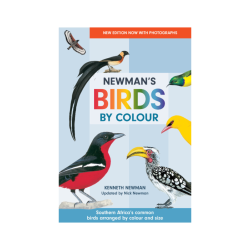 Newman's Birds By Colour