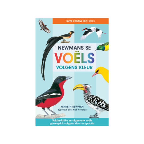 Newman's se Voels Volgens Kleur