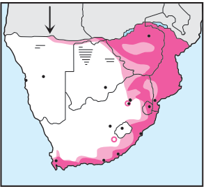 Newman's-African Goshawk-Distribution