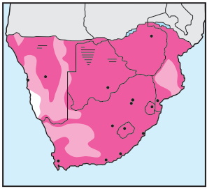 Newman's-Black-winged (Black-shouldered) Kite-Distribution