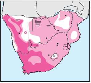 Newman's-Booted Eagle-Distribution