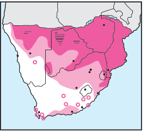 Newman's-Brown Snake-Eagle-Distribution