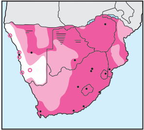 Newman's-Common Buzzard-Distribution