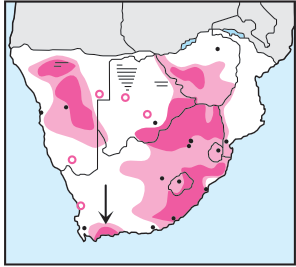 Newman's-Cape Vulture-Distribution