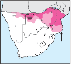 Newman's-Dickinson's Kestrel-Distribution