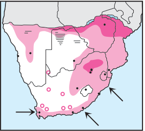 Newman's-European Honey-Buzzard-Distribution