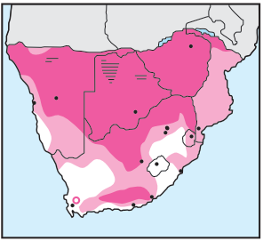 Newman's-Gabar Goshawk-Distribution