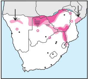 Newman's-Hooded Vulture-Distribution