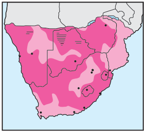 Newman's-Lanner Falcon-Distribution