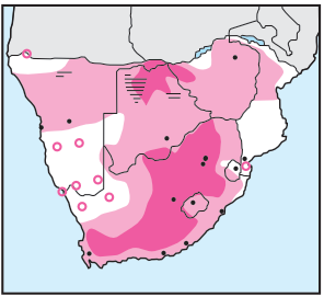Newman's-Lesser Kestrel-Distribution