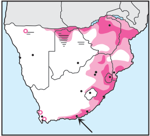 Newman's-Long-crested Eagle-Distribution