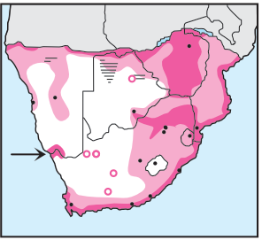 Newman's-Osprey-Distribution
