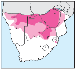 Newman's-Ovambo Sparrowhawk-Distribution