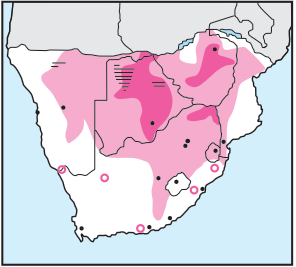 Newman's-Pallid Harrier-Distribution