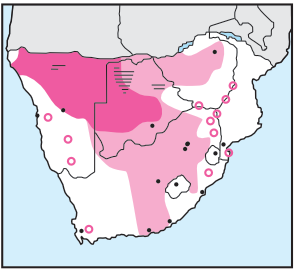 Newman's-Red-footed Falcon-Distribution