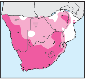 Newmans-Rock Kestrel-Distribution