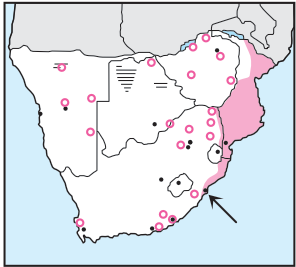 Newman's-Sooty Falcon-Distribution