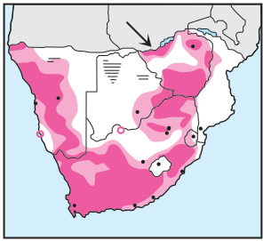 Newman's-Verreaux's Eagle -Distribution