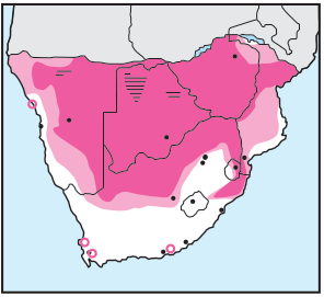 Newman's-White-backed Vulture-Distribution