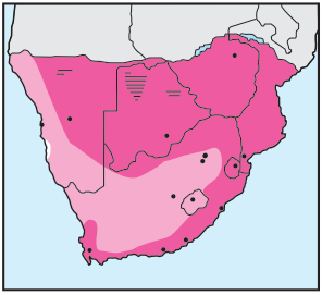 Newman's-Yellow-billed Kite-Distribution