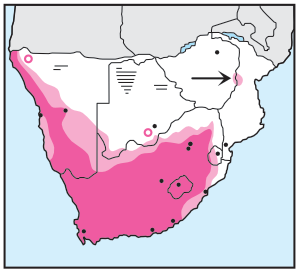 Newman's Birds - Bokmakierie - Distribution