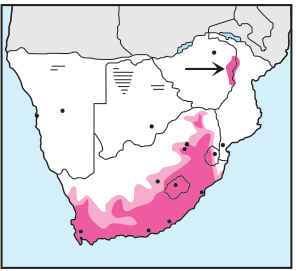 Newman's Birds - Cape Canary - Distribution