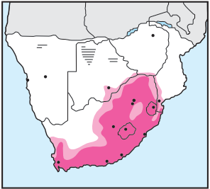 Newman's Birds - Cape White-Eye - Distribution