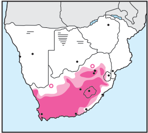 Newman's Birds - Pied Starling - Distribution