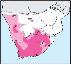 Newman's Birds - South African Shelduck - Distribution