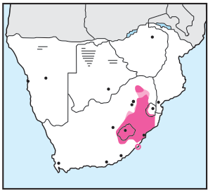 Newman's Birds - Southern Bald Ibis - Distribution