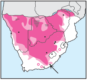 Newman's Birds - White-browed Sparrow-Weaver - Distribution